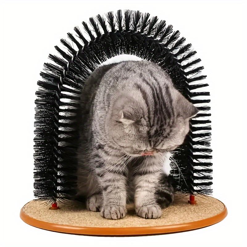 Selbstpflege-Bogen für Katzen mit abnehmbarem Borstentunnel und Kratzbasis für Massage und Spiel für Kitten im Innenbereich