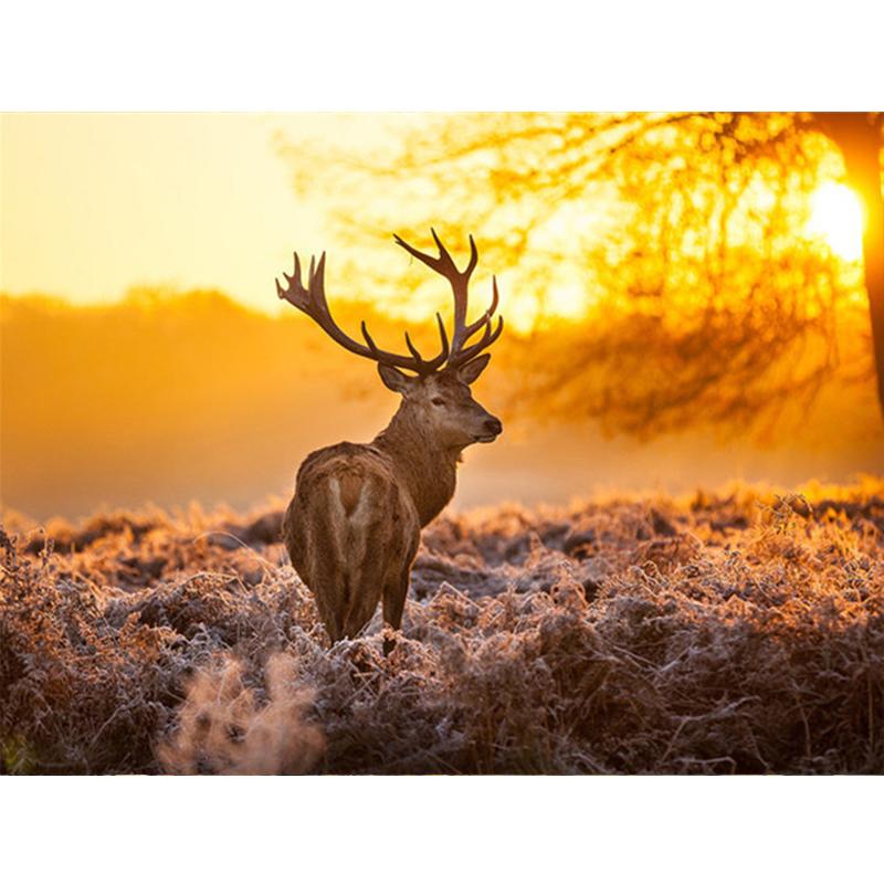 5D Diy voller runder quadratischer Diamantmalerei Tierhund Diamantstickerei Herbst Ahornblatt Wanddekoration Home Art