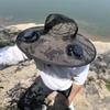 Solar Powered Fan Hat Men's Summer Outdoor Mountain Climbing Fishing UV Protection Super Wide Brim Sunscreen Fisherman Cap
