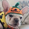 Medium Dogs Halloween Costume Hat Pet Party Hat Novelty Pumpkin Cap for Puppy