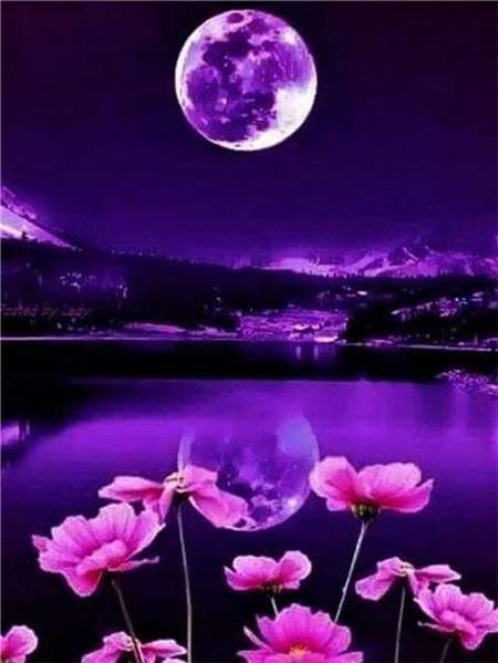 Diamond Painting Lavender Scenery Home Decor Mosaic Embroidery Sunset Landscape Rhinestone Pictures Diamond Art