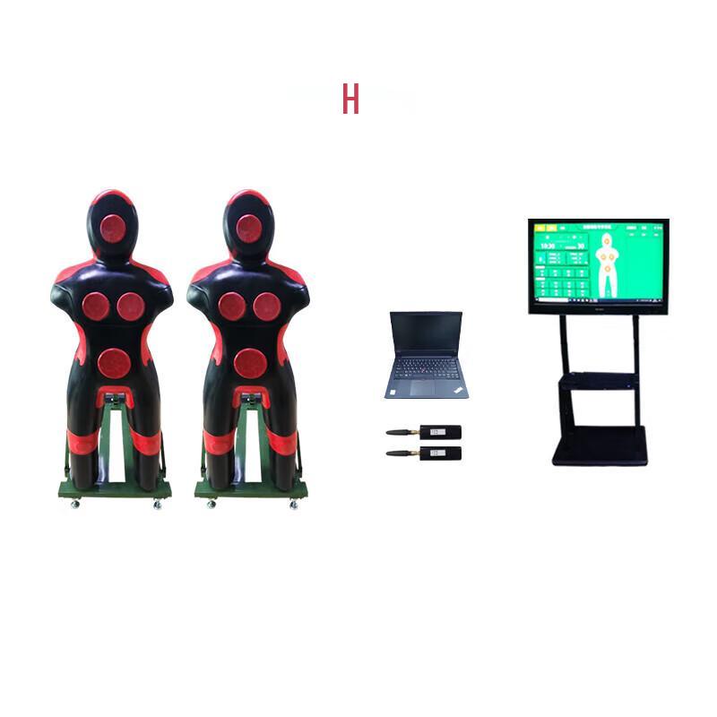 Martial Arts Training Mannequin System