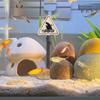 Aquarium Decoration Ornament Cartoon Resin Artificial Shark Warning Sign Landscaping Accessories for Fish Tank Aquarium Background
