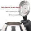 Positive Hemisphere 1.2L Long Spout Electric Kettle for Tea, Stainless Steel, Auto Shut-off