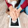Pfotenabdruck Clean Touch Stempelkissen Hund Oder Katze Haustierbesitzer Erinnerungsstück DIY Farblose Nasen- und Pfotenabdruck-Abdruck-Set