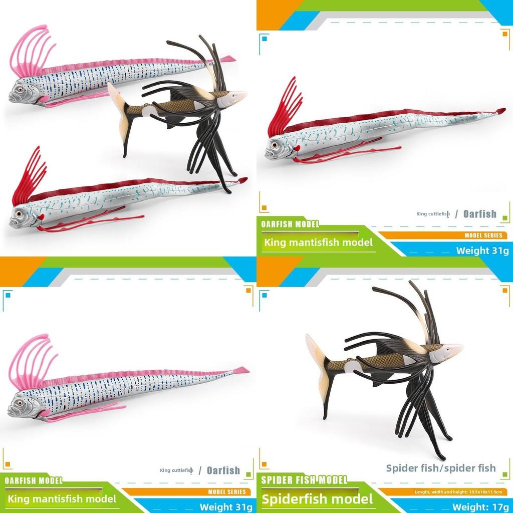 Ocean Fish Replica Pvc Figurine For Children Aquarium Display Aquarium Decor