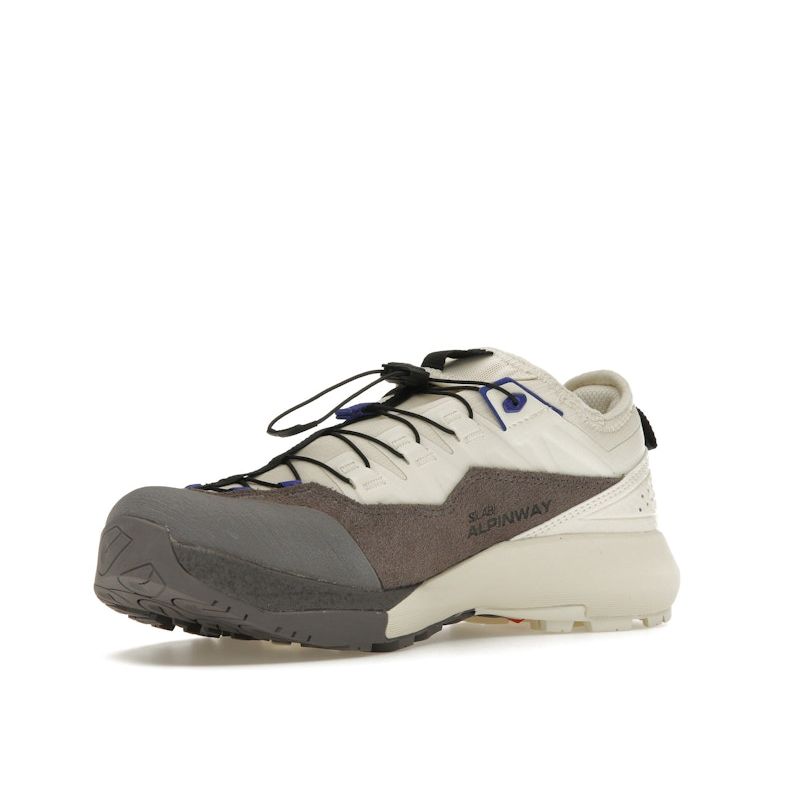 SALOMON Alpinway Advanced Almond Milk Plum Kitten Unisex Sneakers Cream Clematis L47595600