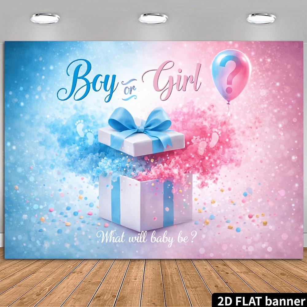 2D plane gender reveal party banner background - blue and pink gradient blending theme, indoor and outdoor theme parties