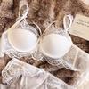 Push Up Lace Bras For Women Underwear Soft Mesh Lingerie Inner Tops