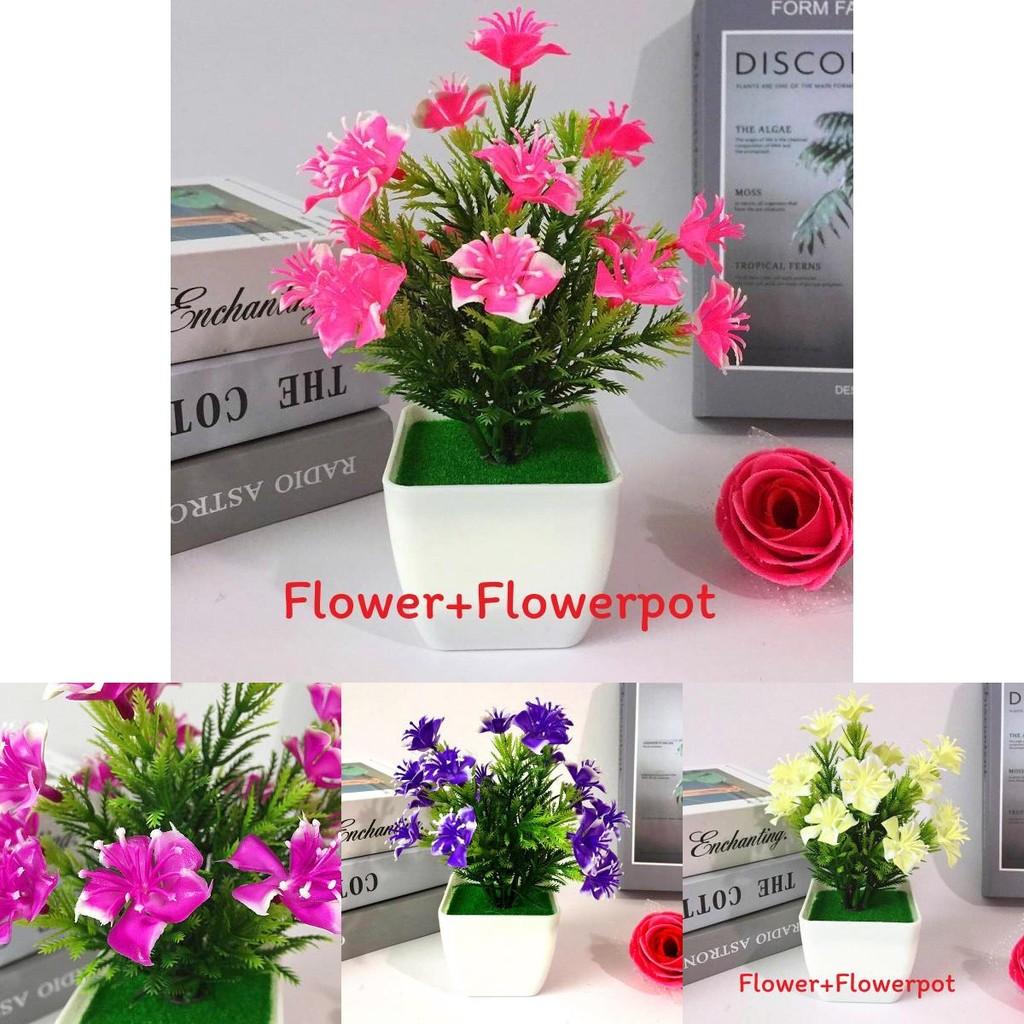 Camellia Sasanqua Miniature Artificial Plant Set With Flower And Pot For Home Decor And Gift