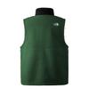 The North Face Vest Men's Green, Shopping Bag Included NF0A81SD-I0P1