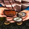 Wanderer Compass