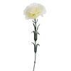 Single White Carnation 54 Cm