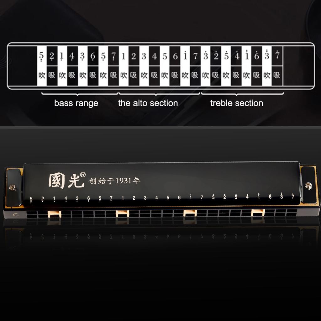 Guoguang Tremolo Harmonica 24 Hole Key C Blues Harp Mouth Organ for Beginner Kit with Case