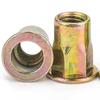 Color Zinc Semi-Hexagonal Flat Round Head Rivet Nut (M5/M6/M8)