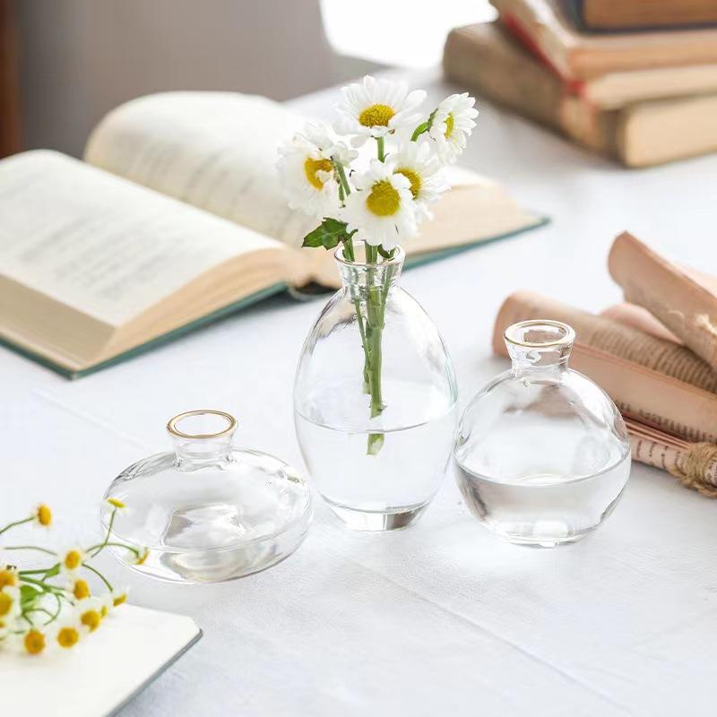 

3-Pack Retro Glass Vase Set,Mini Hydroponic Terrarium for Succulents,Wedding Centerpiece,Desktop Home Decor прозрачный