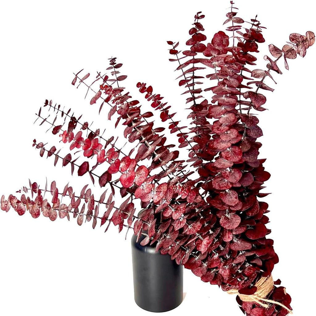 20 Pcs Preserved Dried Eucalyptus Stems, 17" Natural Fresh Eucalyptus Branches,Real Plant for Vase Filler, Dried Flowers Arrangement