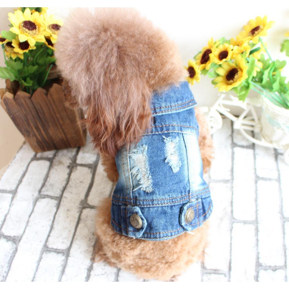 Pet Dog Clothes Denim Jacket Small Dog Vintage Spring Autumn Winter