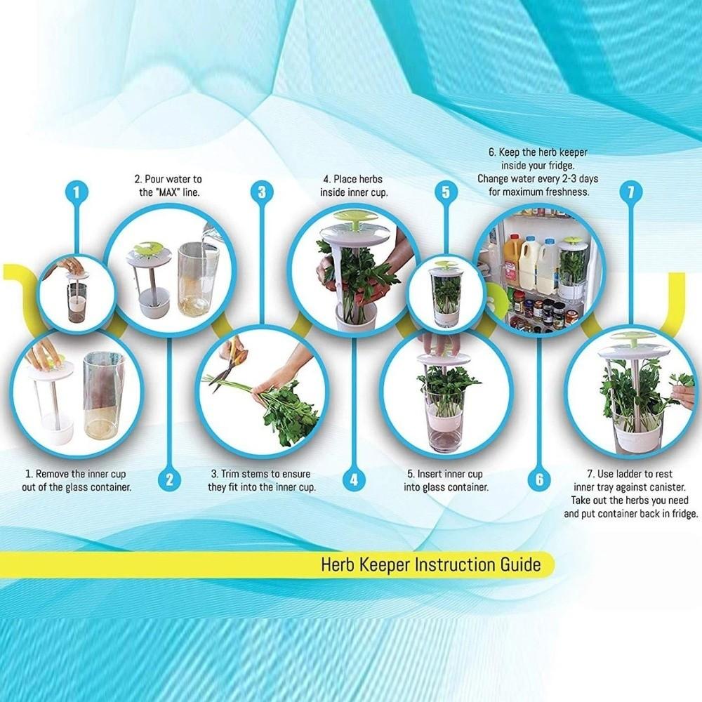 Transparent Longer Fresh Herb Keeper Dust-proof Water Plantin Herb Saver Anti-pressure Environmental