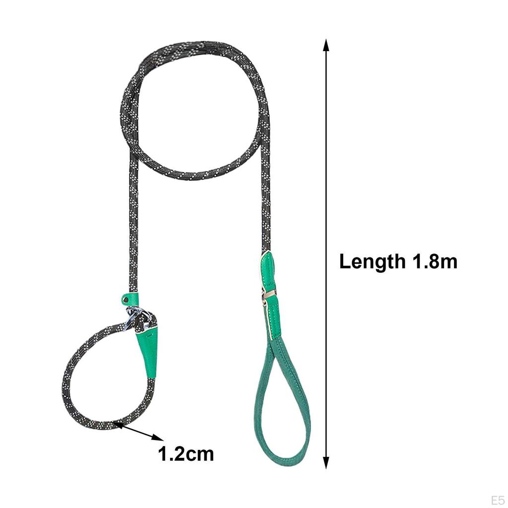 Dog Leash for Active Medium To Large Pets