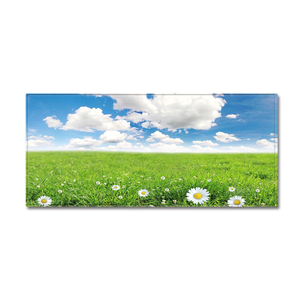 Scenic Dust-Proof Door Mat Kitchen Absorbent Strip Bathroom Non-Slip Floor Mat Bedroom Living Room Carpet