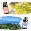 PHATOIL 6Pcs Floral Fragrance Oil Women's Day Gift Set Freesia Angel Fresh Linen Essential Oil for Humidifier Massage Skin Care DIY Perfume