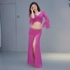 New Belly Dance Dress Set Oriental Indian Mesh Performance Outfit