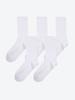 [Standard] 5-Pack Golji Crew Socks HPAO2FA201