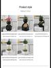 European-Style Succulent Doll Pots: Creative Desktop Green Plant Ornaments