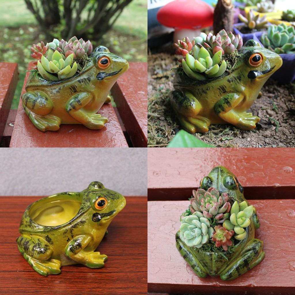Frog Resin Simulated Model Flower Pot Decor Tabletop Figurine Micro Landscape