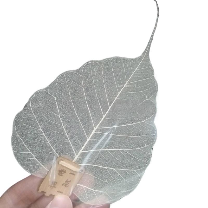 

1/3 Pieces Natural Leaf Veins Bodhi Leaf Tea Filter Creative Leaves Tea Filter Net Tea Set Accessories Painting Leaves Bookmarks
