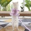 Kawaii Dog Harness Leash Set Floral Design Pet Chest Strap Pet Vest Style Harness  Training Use