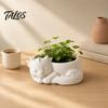 Talos Blumentopf-Ornament, 3D-gedruckte schlafende Drachenform, matt großer gewölbter Pflanztopf, für Heim-Büro-Schreibtisch-Garten-Dekoration