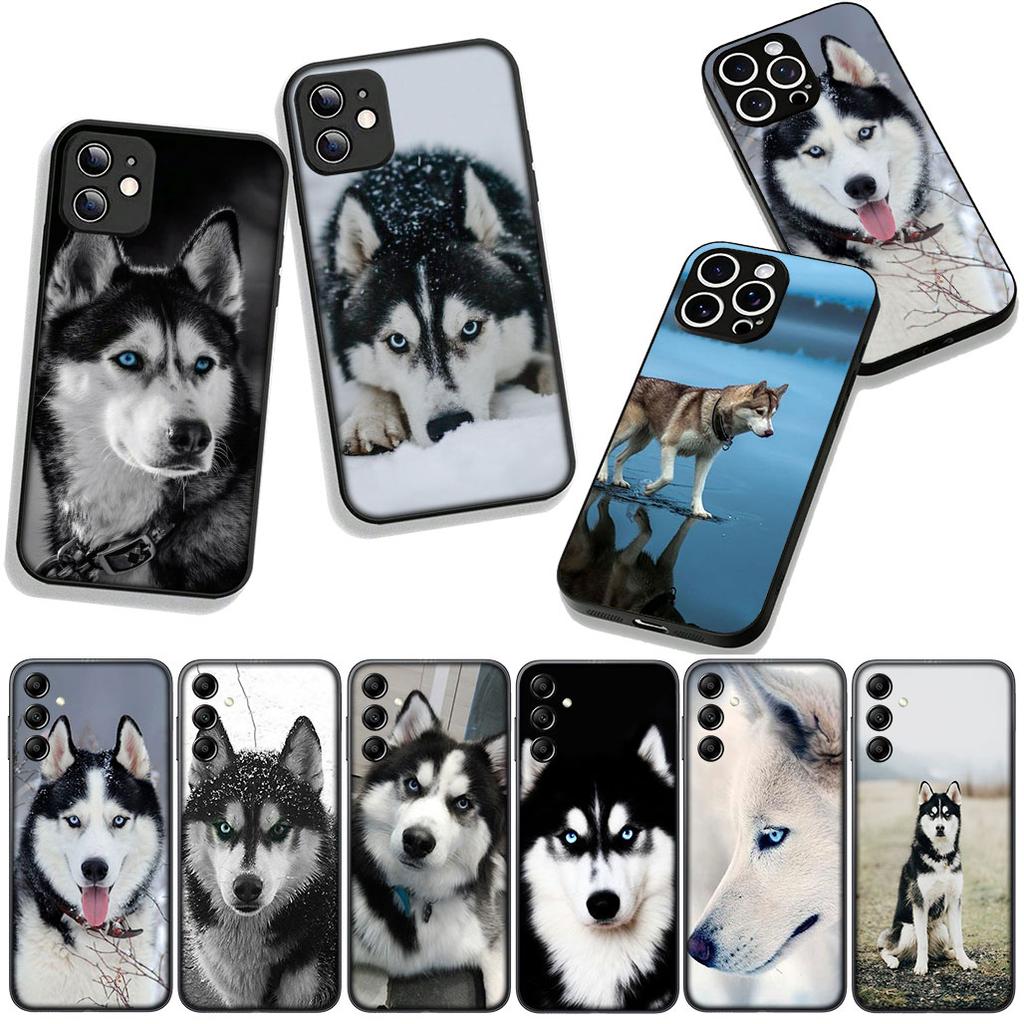 Phone Cover Animal Lovely Husky Dog Casing for Apple iPhone 17 16 11 Pro XS Max XR 6 7 8 Plus + 16E SE 2020 Air 5 8+ Case