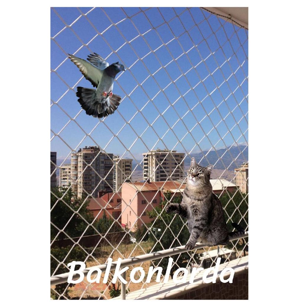 Azmturkiye Balcony Net 2.5x7 Meters Bird Net Cat Net Pigeon Prevention Net
