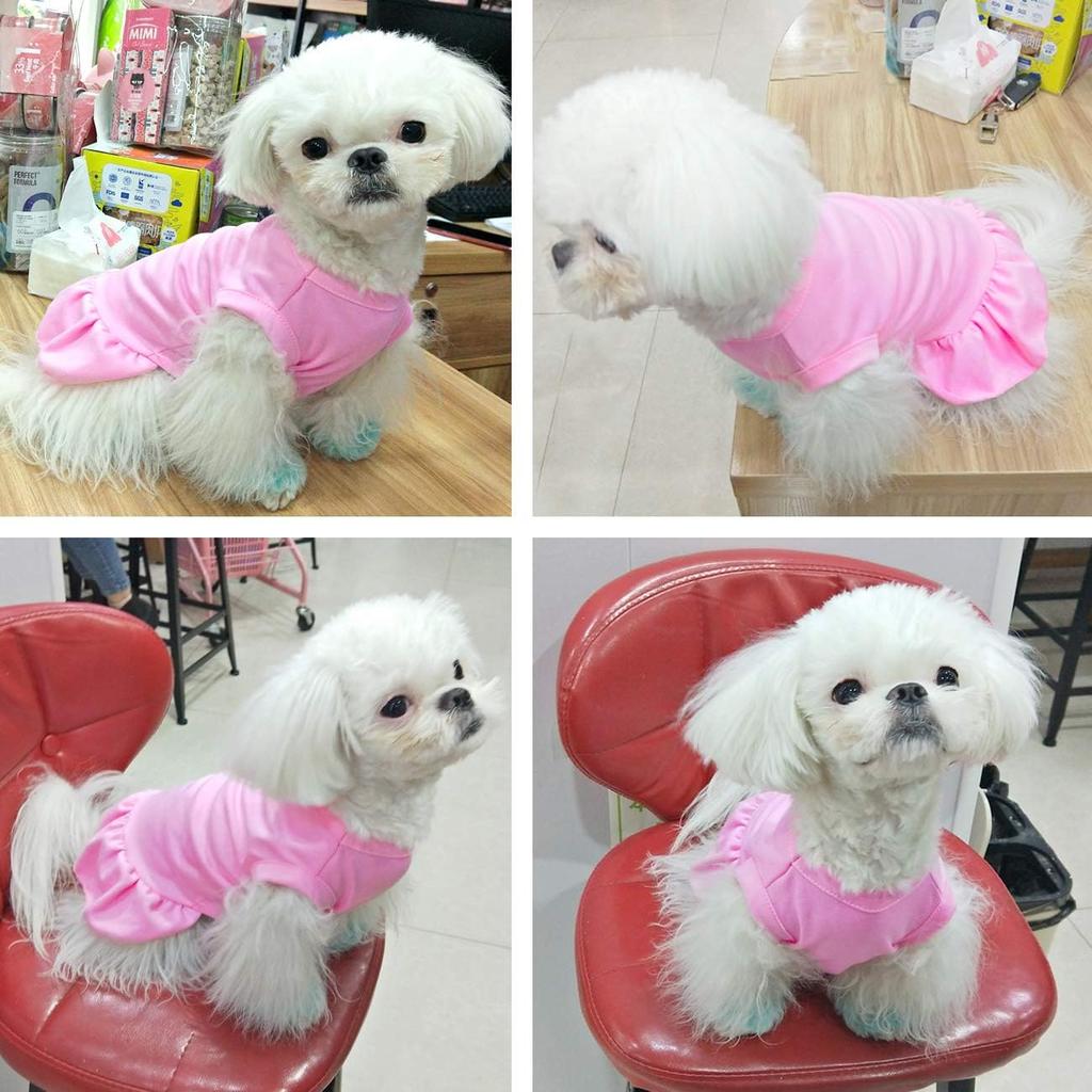 Dog Skirt Shirts, Puppy Dresses for Small Dogs Girls, Pet Clothes Doggy Apparel, Comfortable Summer Shirt Beach Wear Clothing, Outfits for Medium