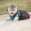 Soft Lining Pet Sling Bag Adjustable Size Paralyzed Pet Bag Rear Leg Support Bag  Pet Mobility Aid