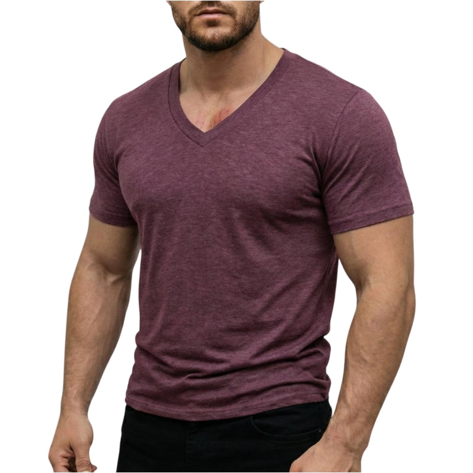Ionia Lichtgewicht V-hals T-shirt met korte mouwen voor heren, zacht, ademend, rekbaar, casual sportief topje voor dagelijks gebruik M wijn