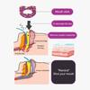 1 Box Breathable Universal Practical Comfortable Mouth Correction Stickers Good Slumber Patch Product Mouth Orthosis Tape