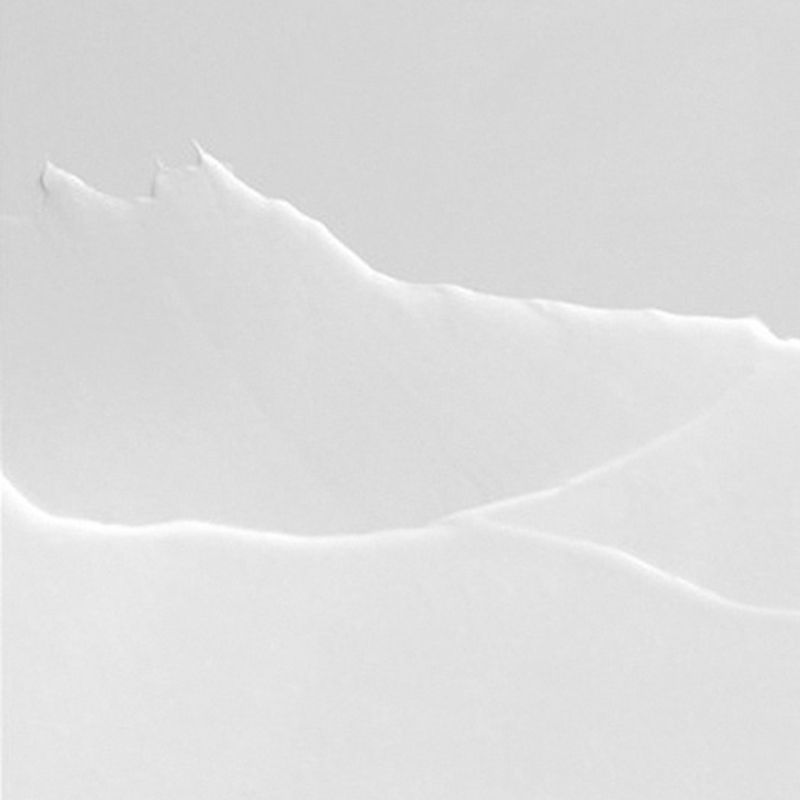 Daily Stem Cell Ampoule Lotion [Single Item]