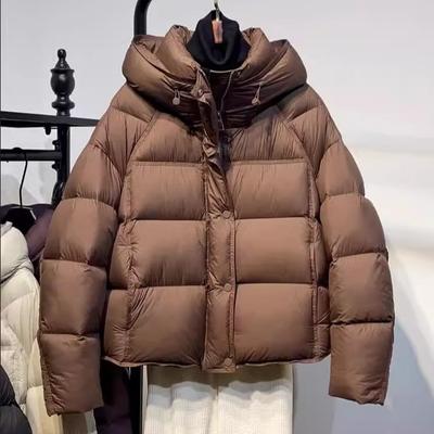 Cotton Clothes Women's Spring and Summer Thickened Zero Pressure Short Hooded Small Man Bread Loose New Puff Cotton Coat