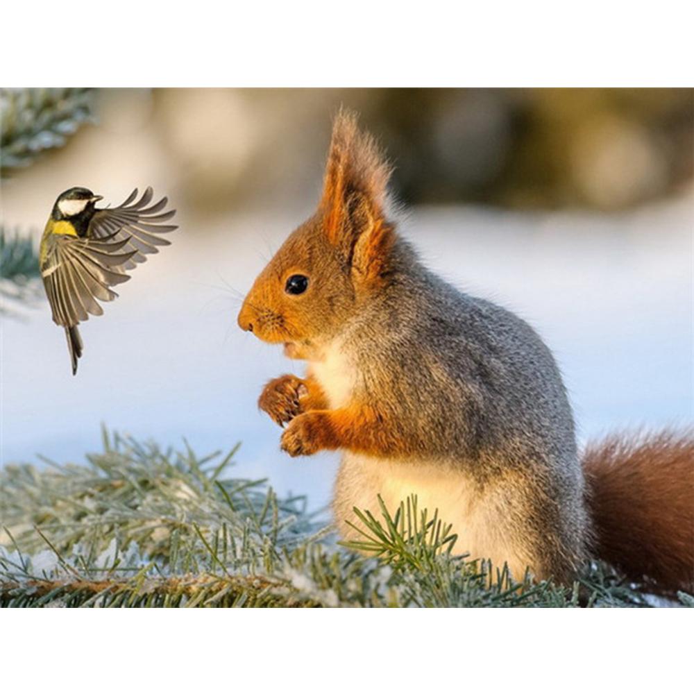 Diamond Painting Squirrel Rhinestone Kit Full Drill Square Diamond Embroidery Animal Mosaci Winter Needlework Wall Art