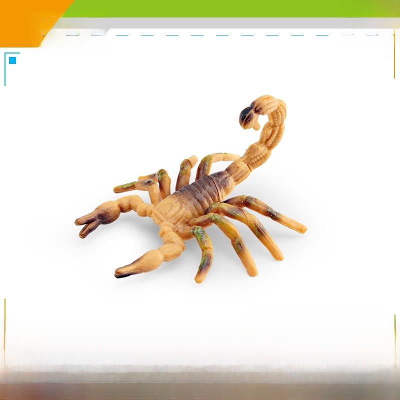 Realistic Insect Spider Scorpion Ant Animal Models For Kids Educational Play Pvc Decor Educational Gift