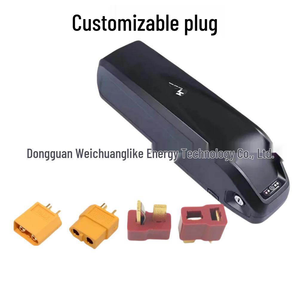 48V 18650 Lithium Battery Pack for E-Bike with BMS + Charger