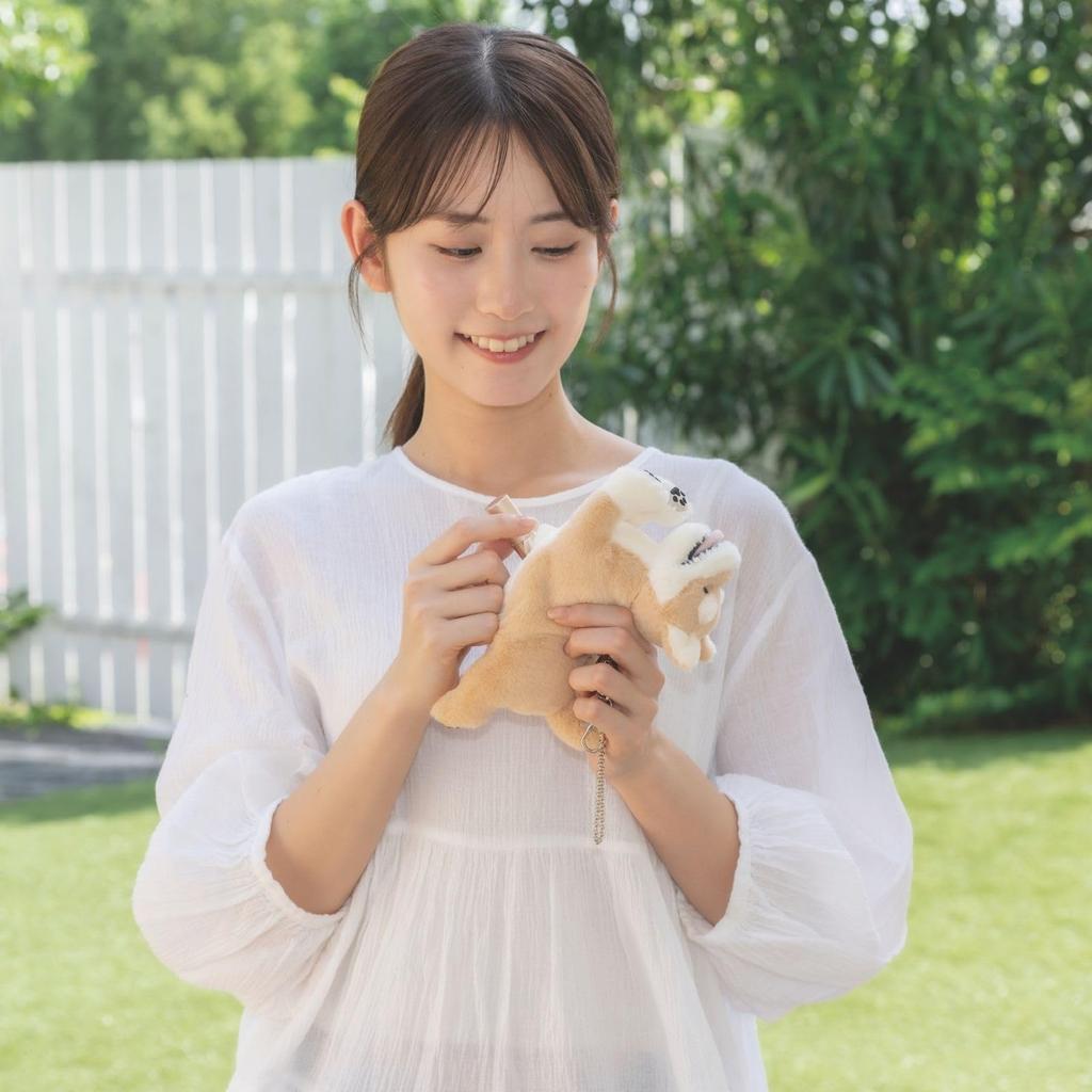 Livheart Flappy Shiba Inu Pouch (approx. 19cm Long) with Chain, Cute Small Item Case, Dog Design, 37252-13