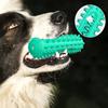 Pet Toy Teeth Cleaning Design Bite-Resistant TPR Medium Large Dogs Chew Toy with Built-In Sound Stimulator