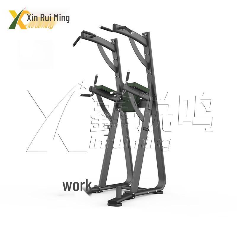 Multifunctional Dip and Leg Raise Station