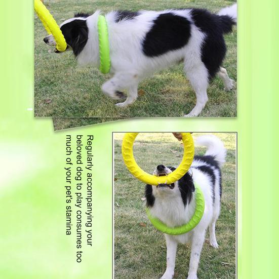 Yousheng Köpek Oyuncağı Hafif Yüzen Evcil Hayvan Çiğneme Oyuncağı Isırmaya Dayanıklı Etkileşimli Köpek Eğitim Halkası Açık Hava Aktivitesi İçin