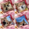 Cute Shiba Inu Cushion Cover Antidustmite Pillowcase Invisible Zipper Silky Short Plush Sofa Cushion Cover