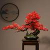 Simulation Green Plants Welcoming Pine Bonsai Planting Corners and Ornaments Living Room Decorations Zen Micro Landscape
